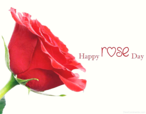 rose_day_special6
