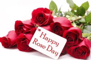 rose_day_special110