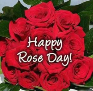 rose_day_special9