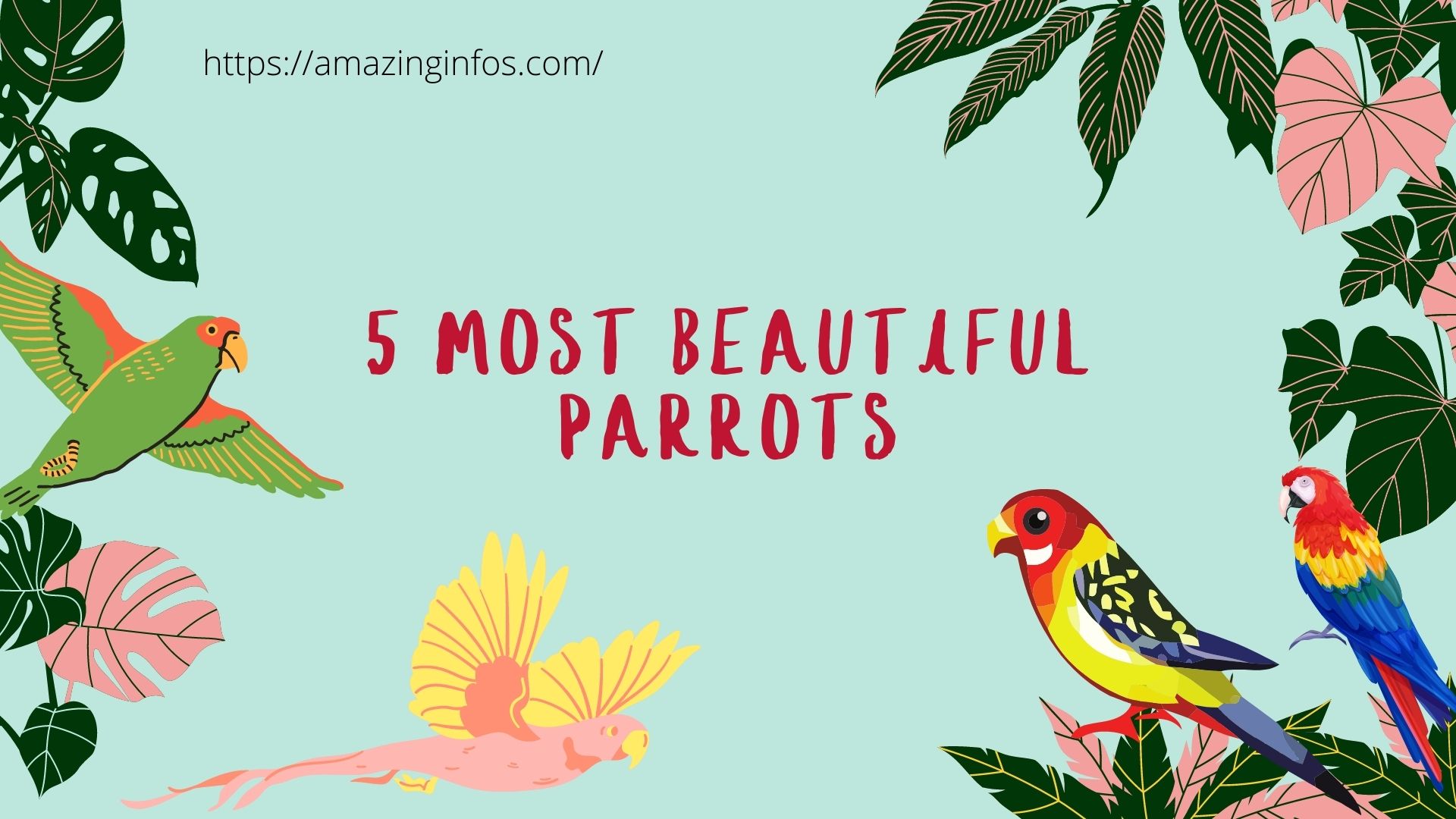 5 Most Beautiful Parrots In The World