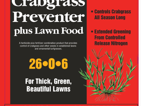 How To Fertilize Your Lawn During the Winter