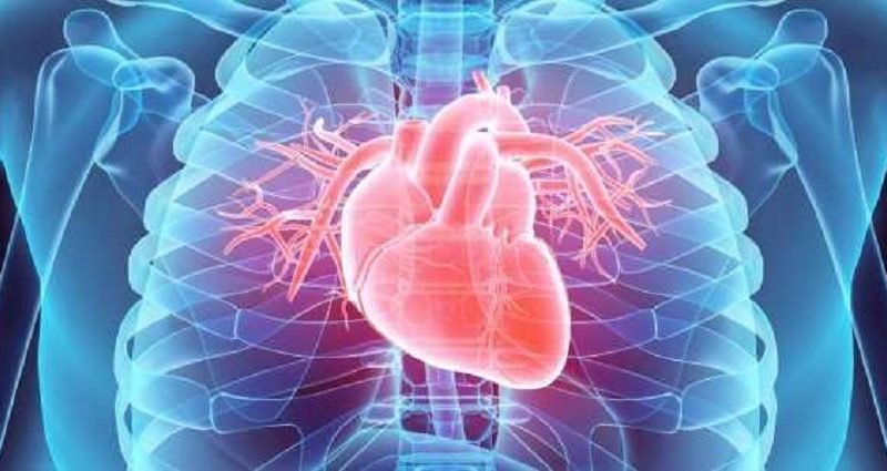 TREATMENT OPTIONS FOR HEART FAILURE WITH PRESERVED EJECTION FRACTION