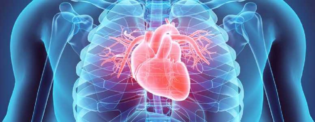 TREATMENT OPTIONS FOR HEART FAILURE WITH PRESERVED EJECTION FRACTION