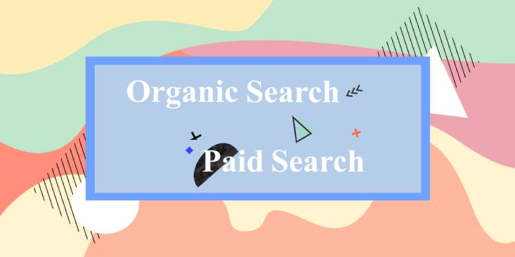 What Is Organic Search And Paid Search? Everything You Need To Know