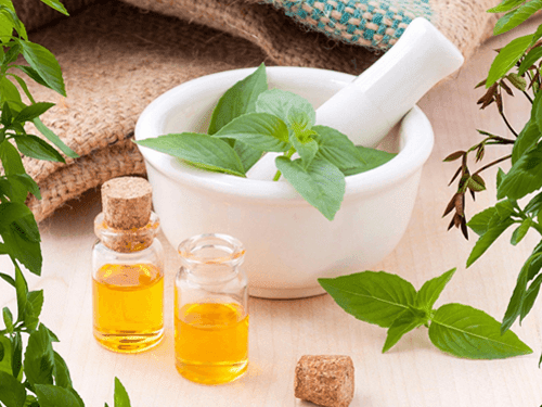 What is Essential Oil? Understanding Their Importance In Healthy Life