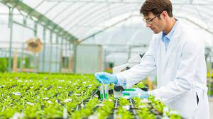 Agricultural Biologicals Market 2022-27: Size, Share, Trends, Analysis and Research Report