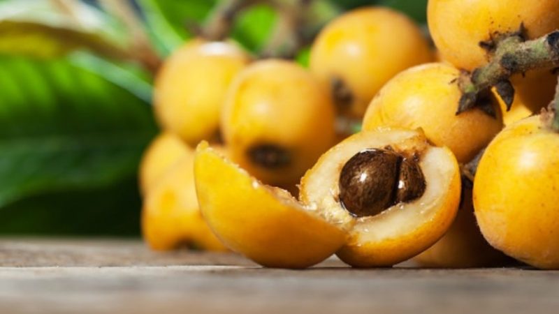 Medlar Fruit Can Help You Stay Healthy